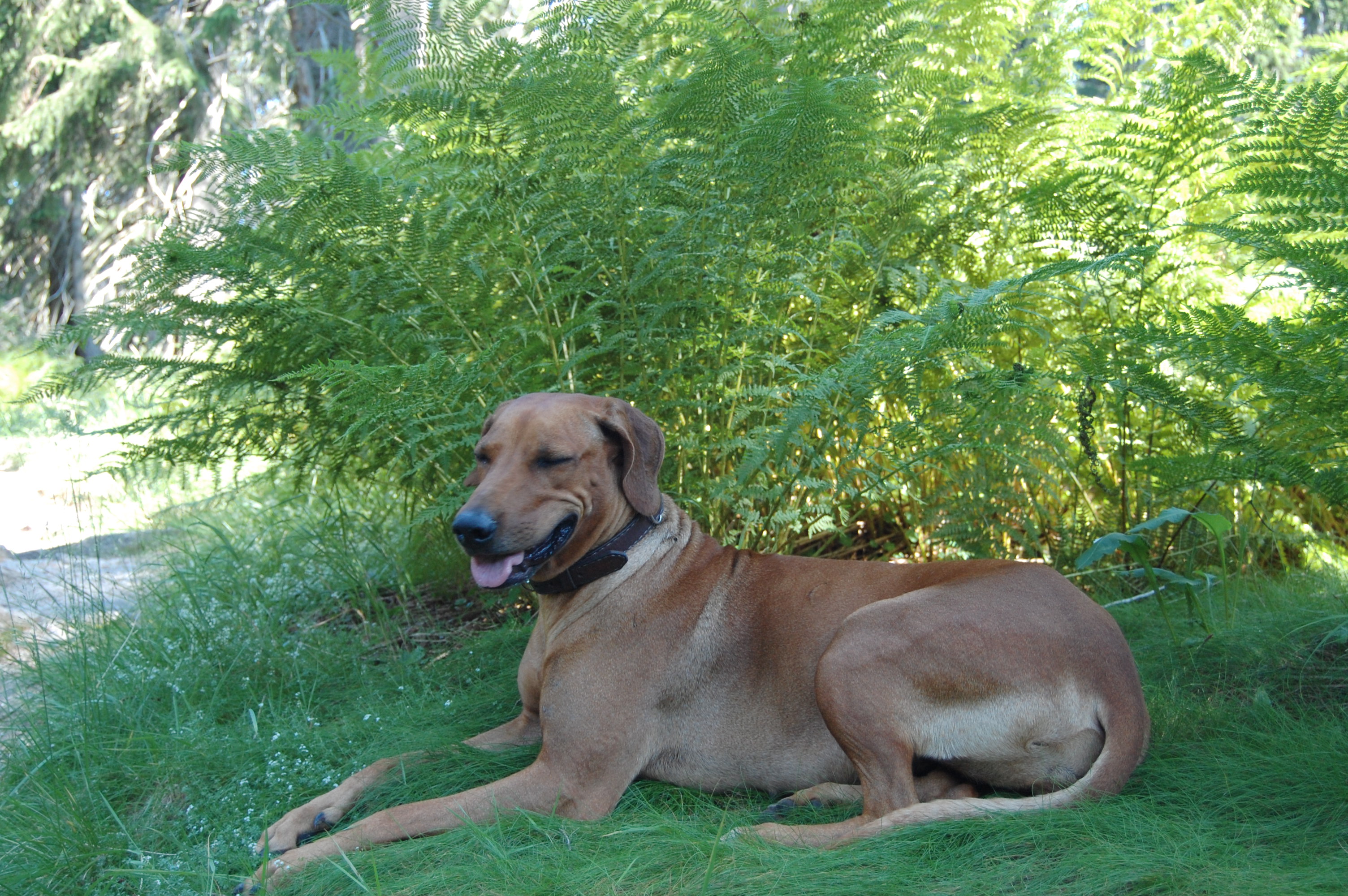 Kopie (2) - DSC_0144.JPG